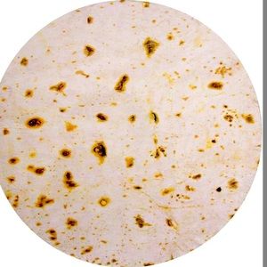 Tortilla blanket for adults and kids